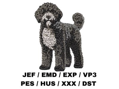 Portuguese Water Dog 2 - Full Body