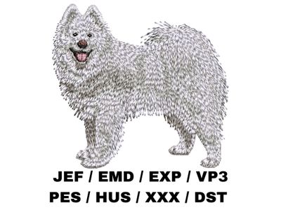 Samoyed 3 - Full Body