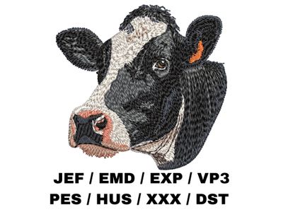 Dairy Cow Head - Holstein Friesian
