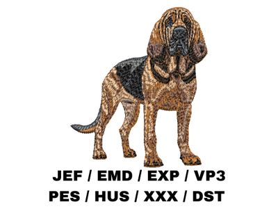 Bloodhound 2 - Full Body