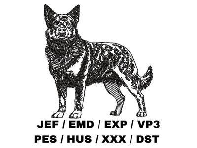 Australian Cattle Dog Outline - Full Body