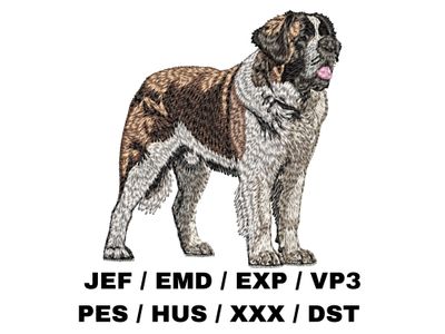St. Bernard 3 - Full Body