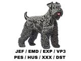 Giant Schnauzer 3 - Full Body