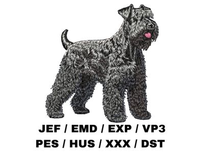 Giant Schnauzer 3 - Full Body