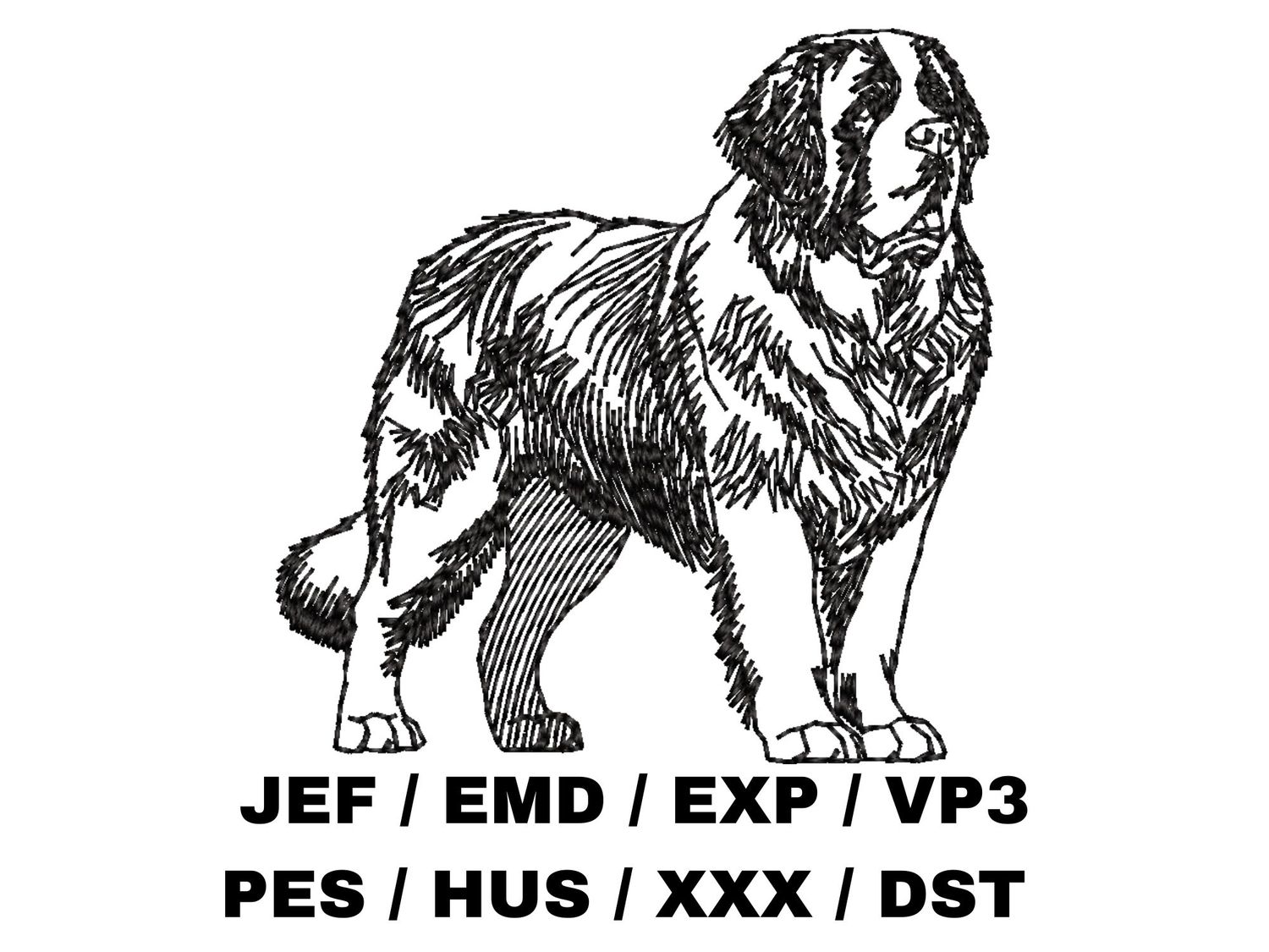 St. Bernard Outline - Full Body