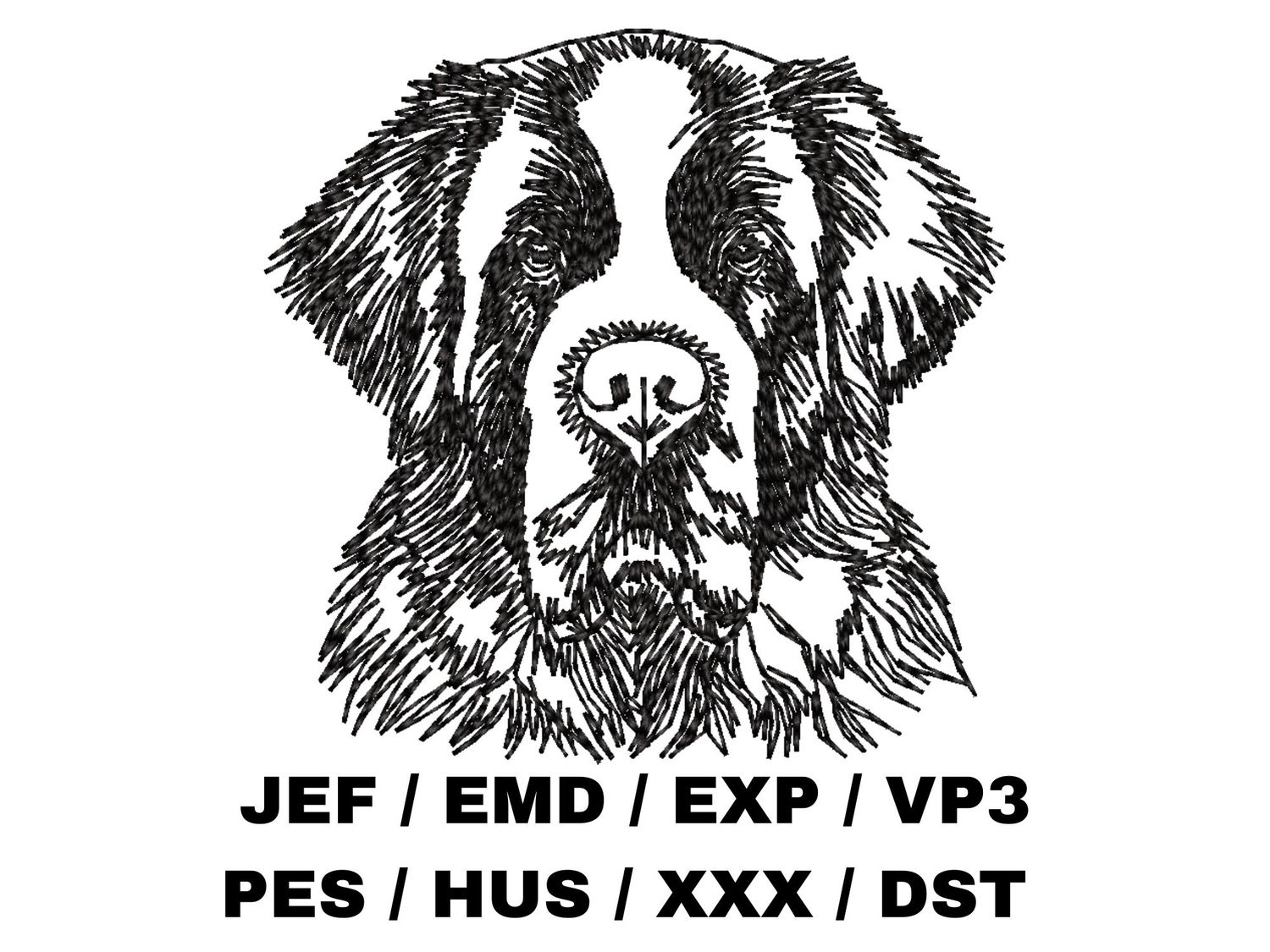 St. Bernard Outline
