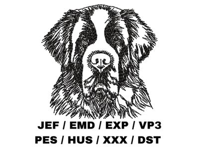 St. Bernard Outline