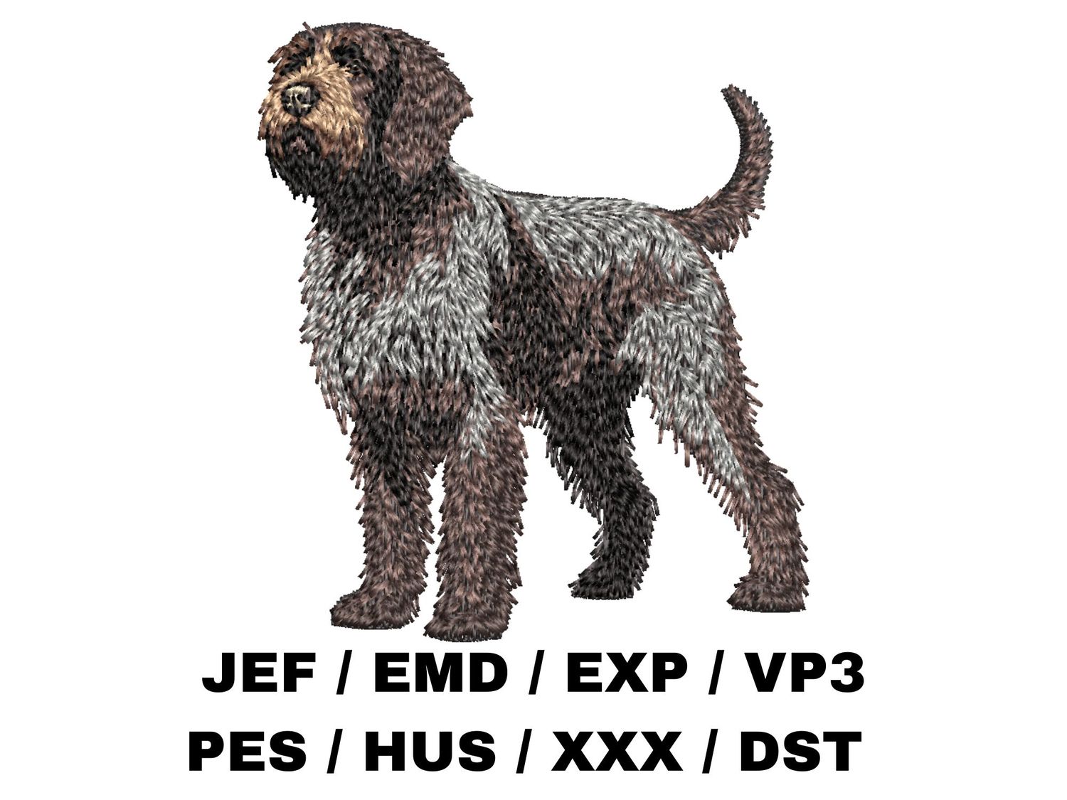 Wirehaired Pointing Griffon 5 - Full Body