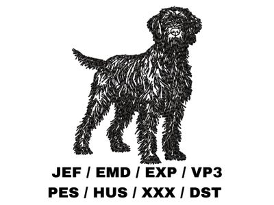Wirehaired Pointing Griffon Outline - Full Body