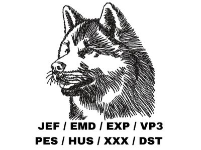 Akita Inu Outline