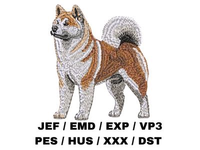 Akita Inu 4 - Full Body