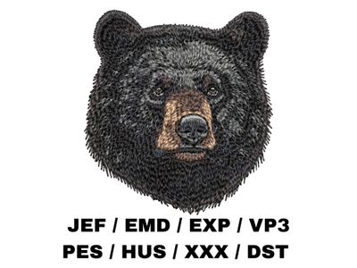 American Black Bear