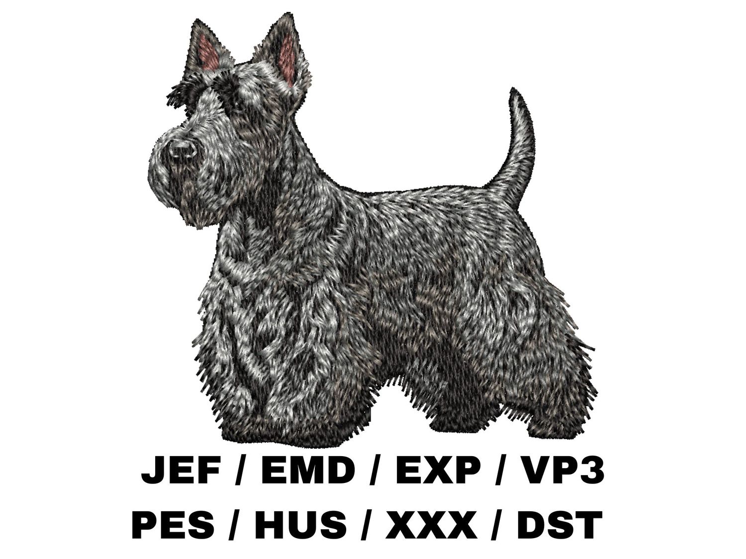 Scottish Terrier 4 - Full Body