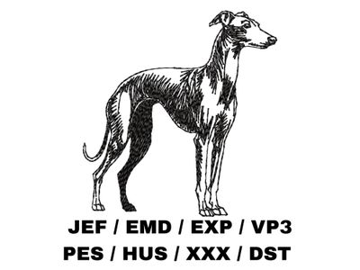 Italian Greyhound Outline - Full Body