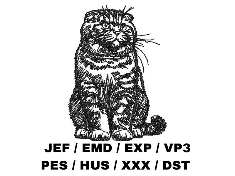 Scottish Fold Outline - Full Body