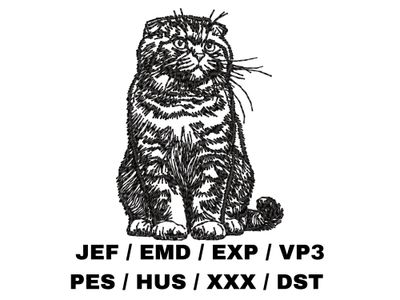 Scottish Fold Outline - Full Body