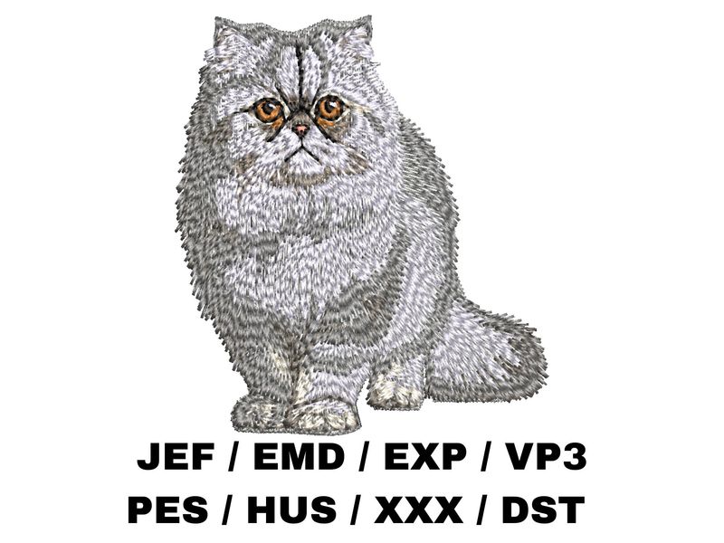 Persian Cat 2 - Full Body