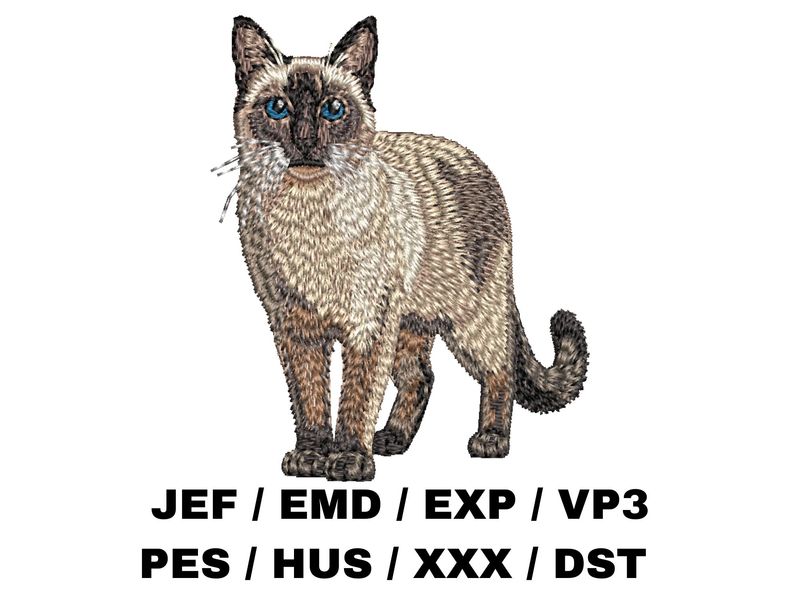 Siamese Cat - Full Body