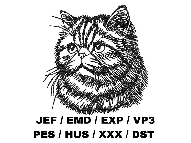 Exotic Shorthair Outline