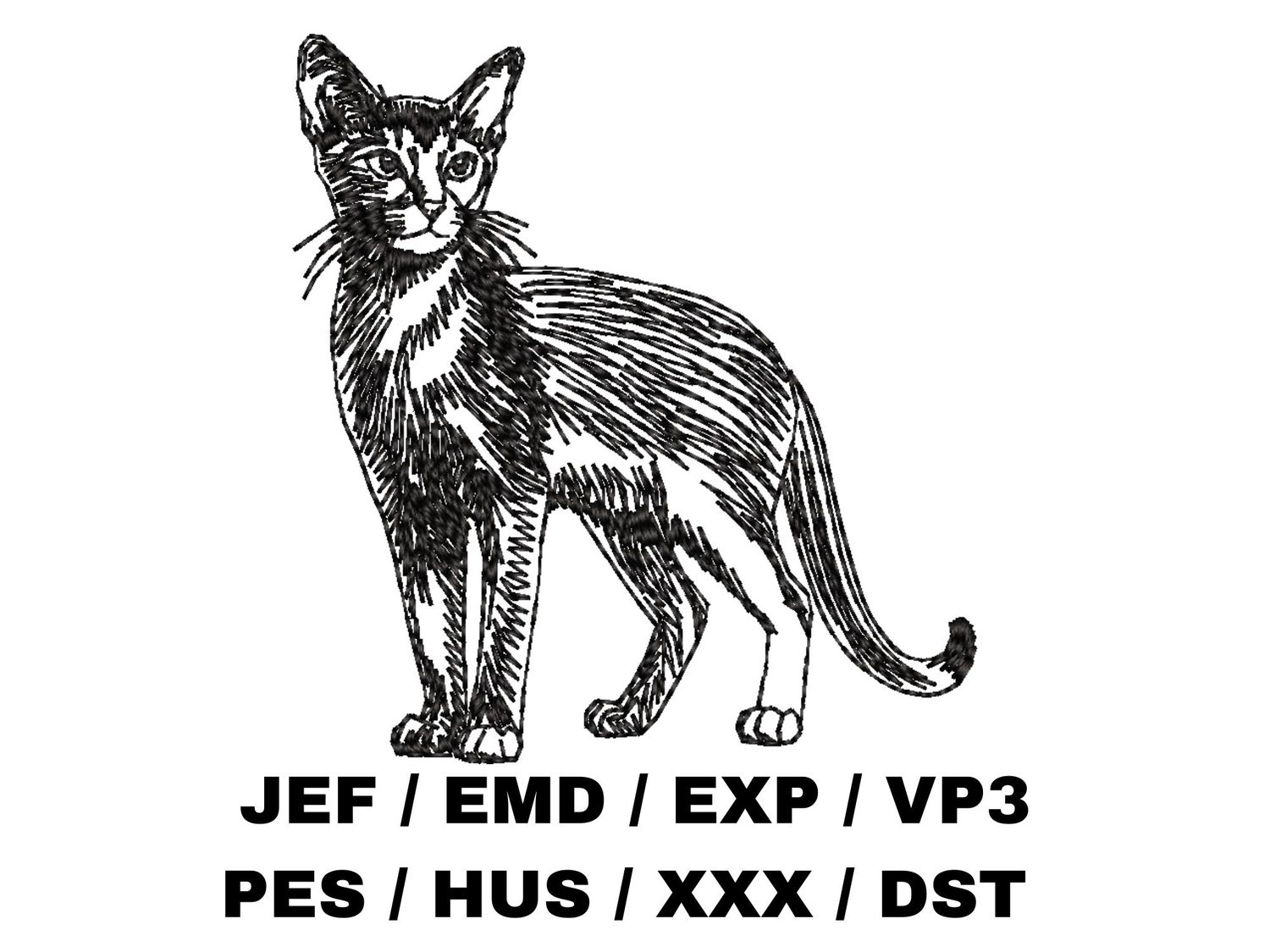 Abyssinian Outline - Full Body