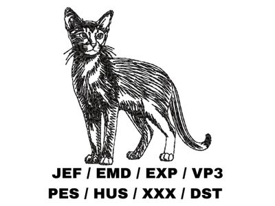 Abyssinian Outline - Full Body