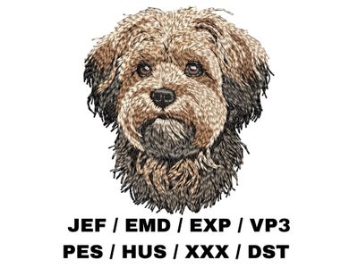 Morkie Poo