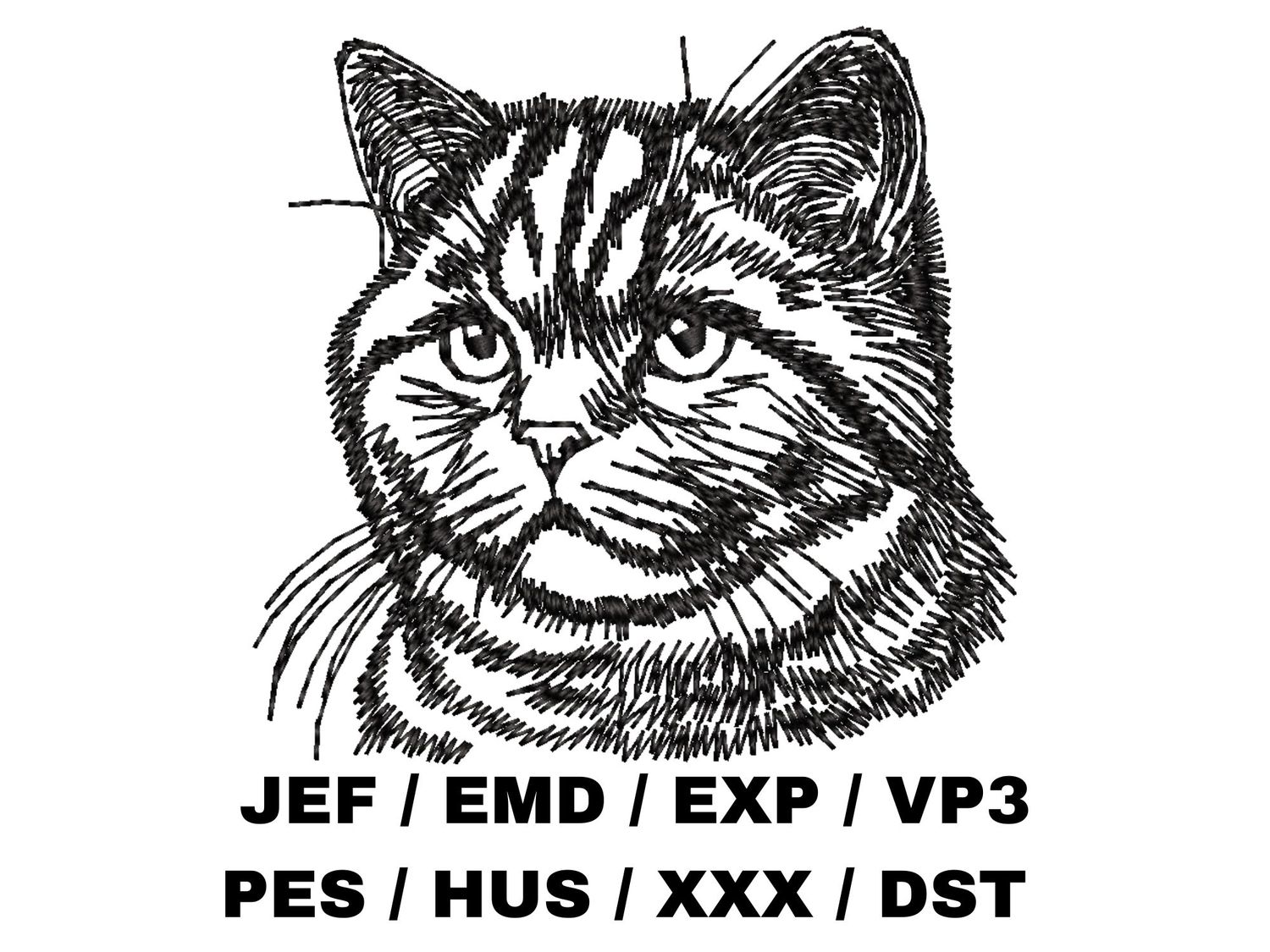 British Shorthair Outline