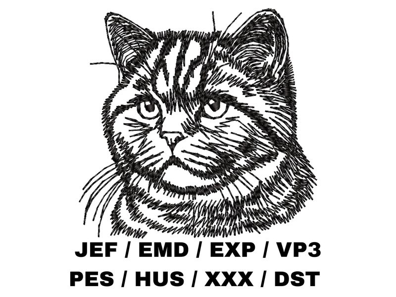 British Shorthair Outline