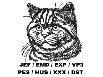 British Shorthair Outline