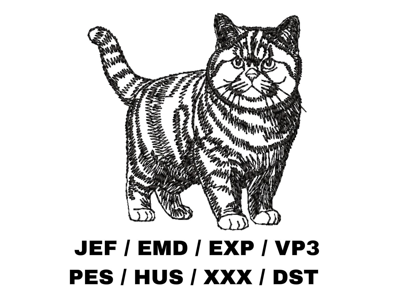 British Shorthair Outline - Full Body