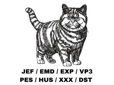British Shorthair Outline - Full Body