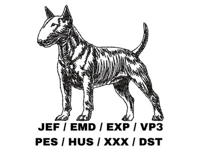 Bull Terrier Outline - Full Body