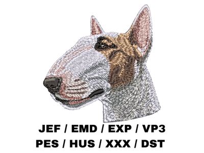 Bull Terrier 4