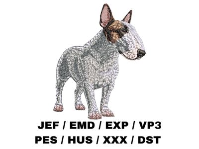 Bull Terrier 5 - Full Body