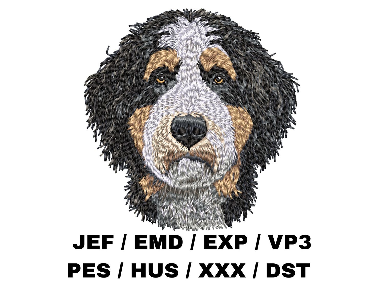 Bernedoodle