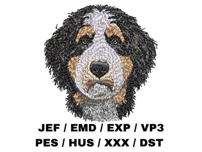 Bernedoodle