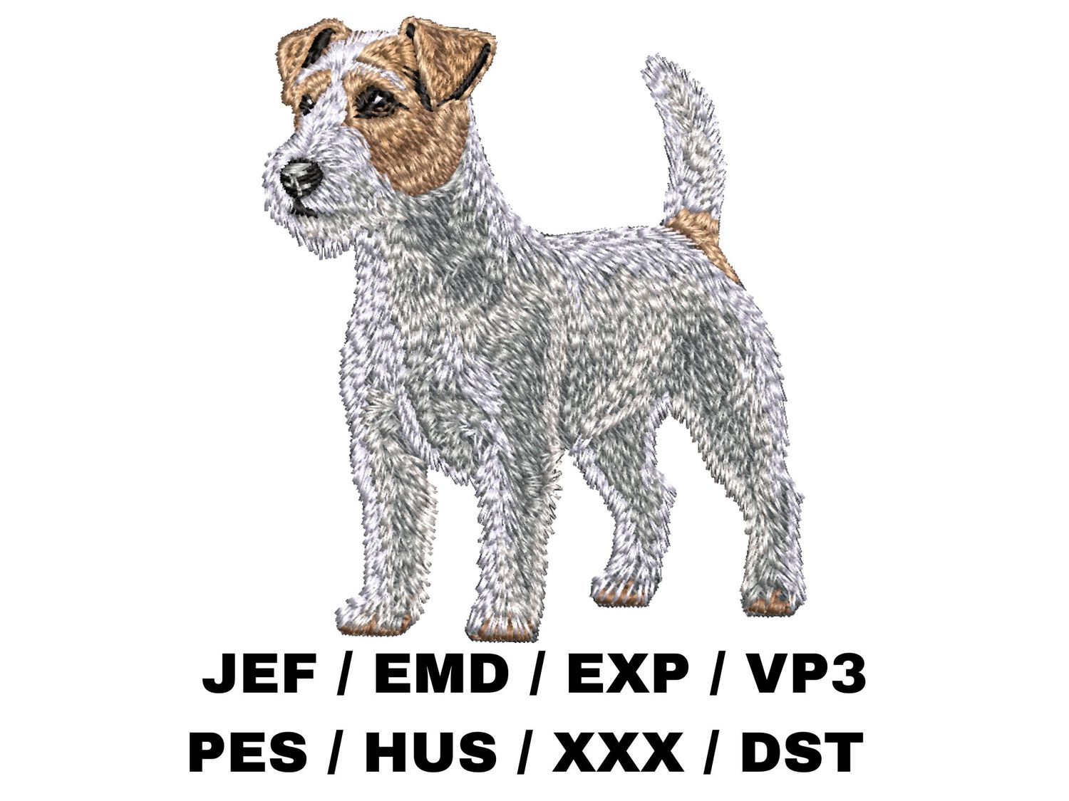Russell Terrier 4 - Full Body