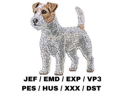 Russell Terrier 4 - Full Body