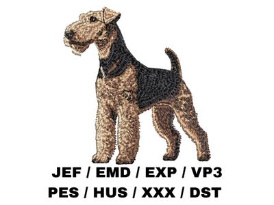 Airedale Terrier 2 - Full Body