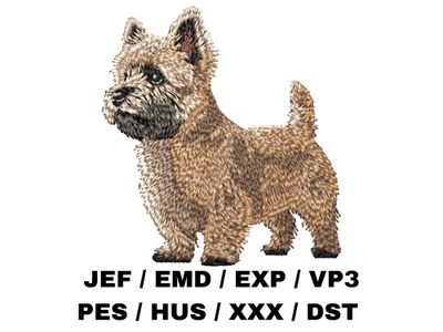 Cairn Terrier 2 - Full Body