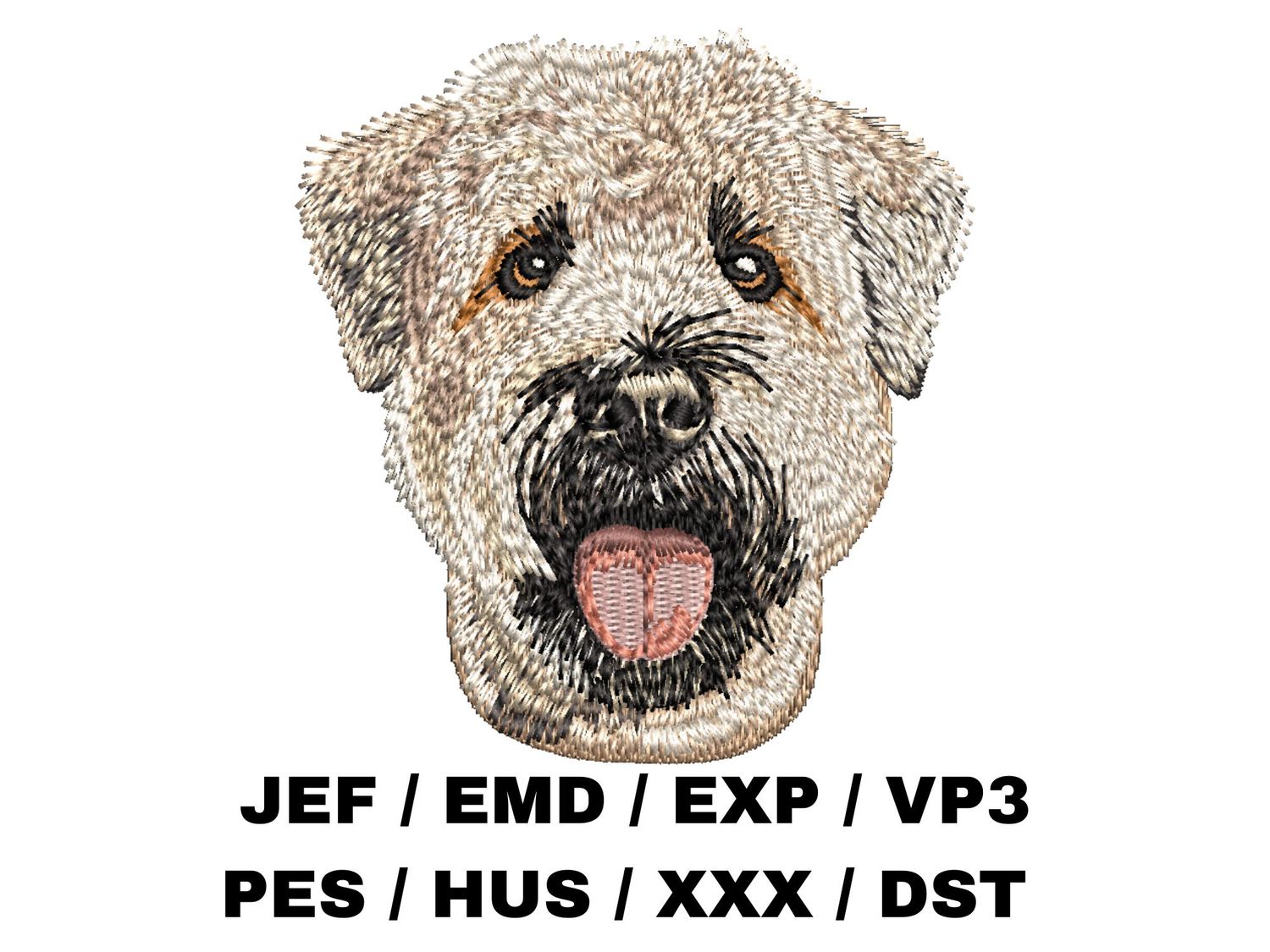 Soft Coated Wheaten Terrier 2