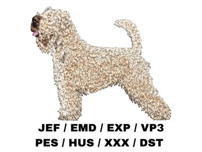 Soft Coated Wheaten Terrier 3 - Full Body
