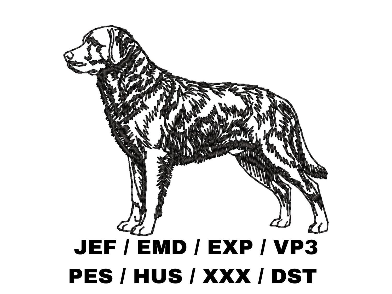 Chesapeake Bay Retriever Outline - Full Body