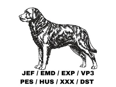 Chesapeake Bay Retriever Outline - Full Body