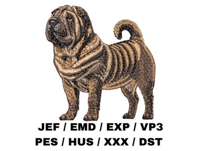 Chinese Shar-Pei 4 - Full Body