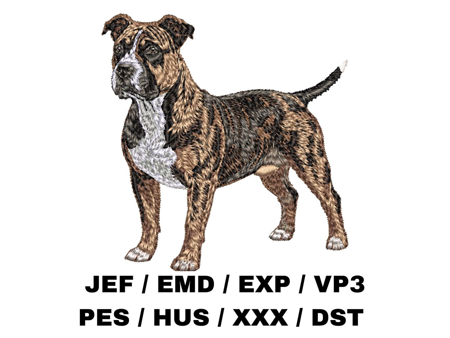 Staffordshire Bull Terrier 5 - Full Body