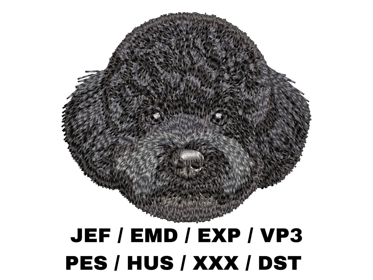 Poodle 16