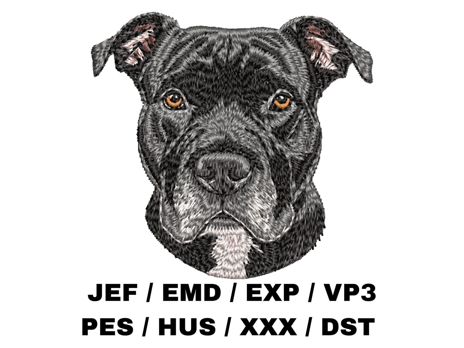 Staffordshire Bull Terrier 6