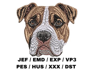 Staffordshire Bull Terrier 2