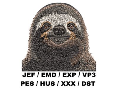 Sloth